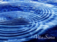 Wasserbild: konzentrische Wellen